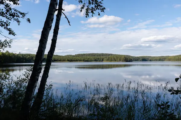 Finsk Sjöutsikt Landskap Med Siluett Trädstam Och Gräs Från Repovesi — Stockfoto