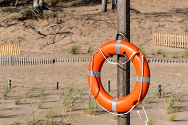 Kumsaldaki tahta bir direkte turuncu yaşam halkası.