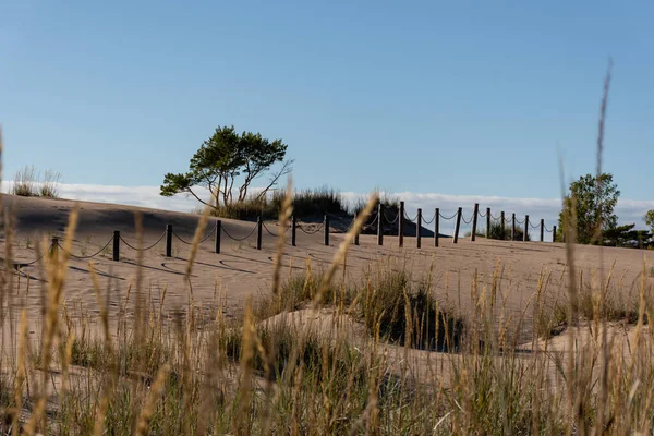Seilzaun Mit Holzpfählen Einem Sandstrand Mit Dünen Yyteri Pori Finnland — Stockfoto