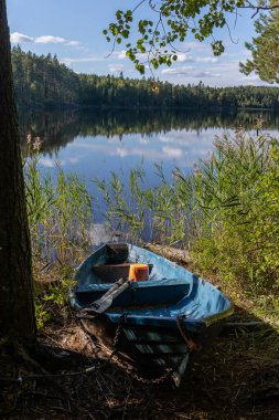 Finlandiya, Repovesi Ulusal Parkı 'ndaki bir ağaca zincirlenmiş eski mavi fiberglas kayık.