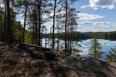 Finlandiya, Kouvola 'daki Repovesi Ulusal Parkı' ndaki güzel bir göl manzarasının yanına kayaların üzerine ahşap bir bank yerleştirildi.