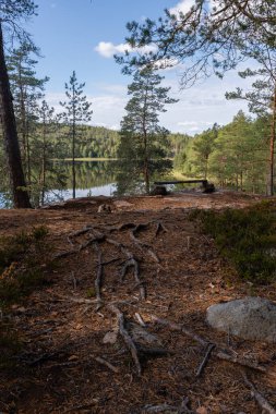 Finlandiya, Kouvola 'daki Repovesi Ulusal Parkı' ndaki bir gölün yanındaki kayaların üzerine ahşap bir döşeme yerleştirildi.