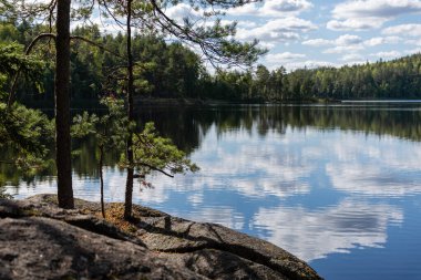 Yazın göl manzarası göl ve gökyüzündeki bulutların yansımasıyla görülür. Kouvola 'daki Repovesi Ulusal Parkı