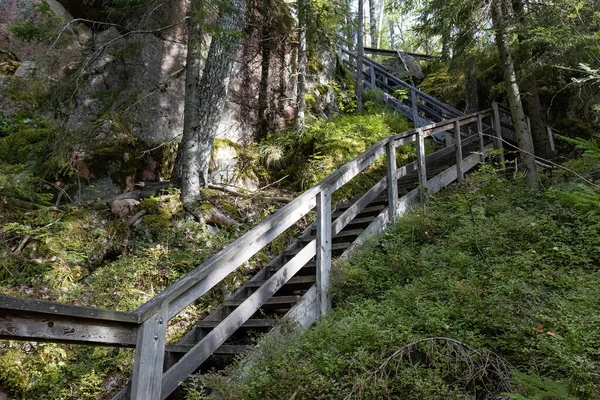 Дерев Яні Сходи Ведуть Пагорба Пішохідній Стежці Фінському Лісі Національний — стокове фото