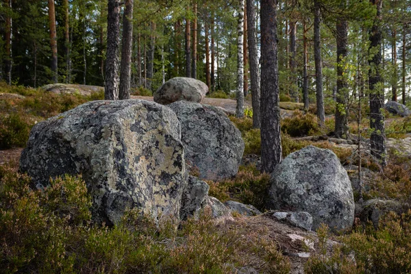 Group Rock Boulders Finnish Pine Forest Repovesi National Park Kouvola — Stock Photo, Image