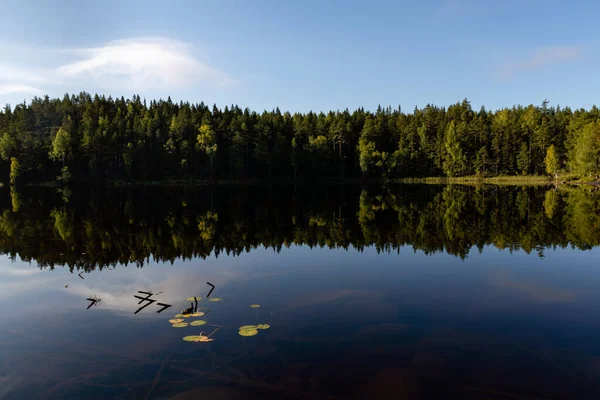Vacker Finsk Sjöutsikt Med Eftertanke Från Lugnt Vatten Hösten Och — Stockfoto