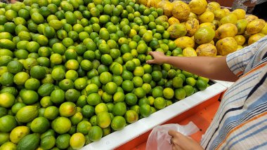 tropical fruits and vegetables from Brazil such as apples, bananas, pears, oranges, pineapples