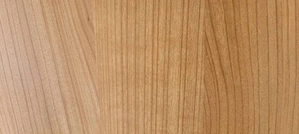 Tło Drewna Rustykalnego Jasnej Fakturze Ciemnych Żyłach Jako Panel — Zdjęcie stockowe