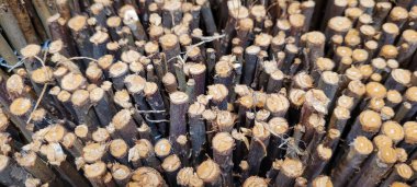 rustik ahşap arka plan açık renk ve koyu damarlar panel olarak kullanılıyor