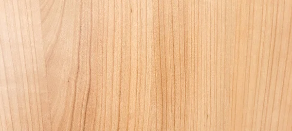 Fondo Rústico Madera Con Textura Clara Venas Oscuras Como Panel — Foto de Stock