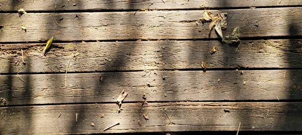 Rustic Wood Background Light Texture Dark Veins Panel — Stock Photo, Image