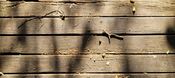 Rustic Wood Background Light Texture Dark Veins Panel — 스톡 사진