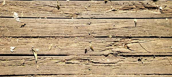 Rustic Wood Background Light Texture Dark Veins Panel — Foto de Stock