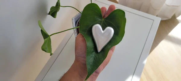 Romantic Background Iron Shiny Heart Marble Leaf — Stockfoto