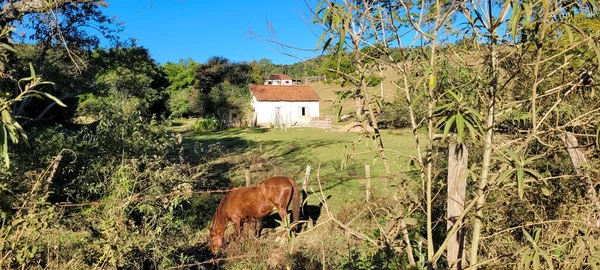 Farm Landscape View Countryside Brazil — 스톡 사진