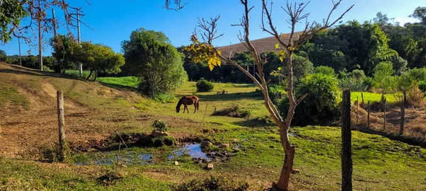 Vue Sur Paysage Agricole Dans Campagne Brésil — Photo