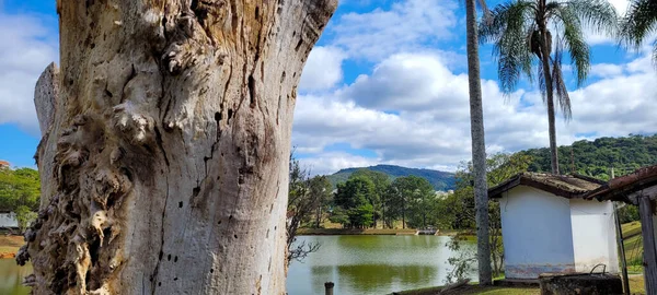 Farm Landscape View Countryside Brazil — Stockfoto