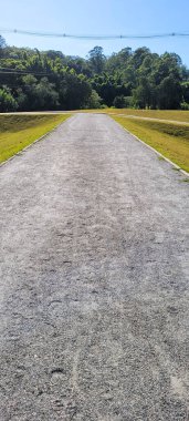 Brezilya 'da doğa ile birlikte doğa yürüyüşü