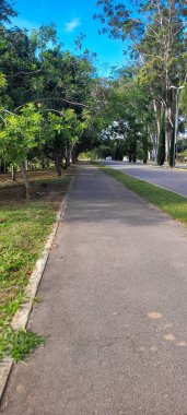 Brezilya 'da doğa ile birlikte doğa yürüyüşü