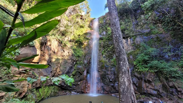 Outdoor Park Walk Nature Brazil — Stock Photo, Image