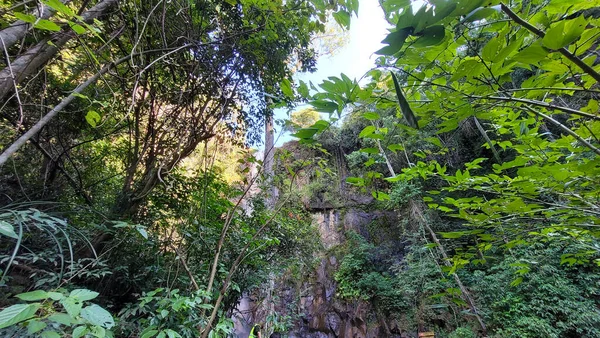 Parque Livre Passeio Com Natureza Redor Brasil — Fotografia de Stock