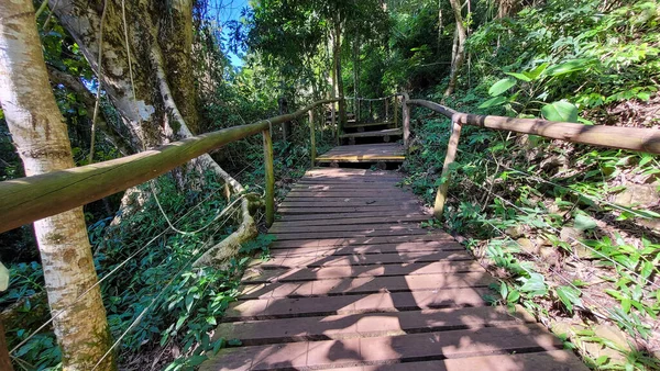 Outdoor Park Walk Nature Brazil — Fotografia de Stock