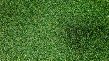 Brezilya görüntüsünün kırsal dokusuna sahip yeşil çimen arkaplanı