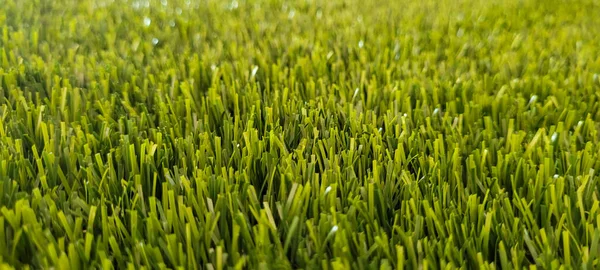 Green Lawn Image Can Used Natural Background Cobblestones — 图库照片