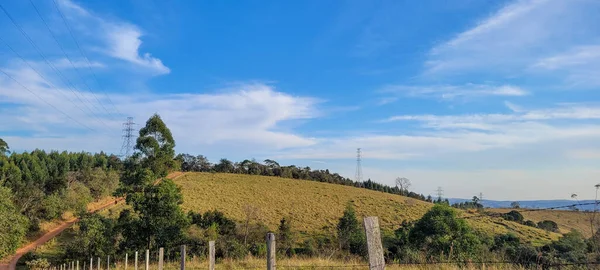 Ländliche Naturlandschaft Landesinneren Brasiliens Einer Eukalyptusfarm Inmitten Von Natur Und — Stockfoto