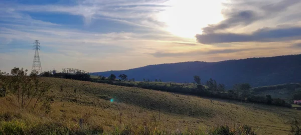 Rural Nature Landscape Interior Brazil Eucalyptus Farm Middle Nature Dirt — Stockfoto