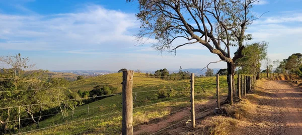 Ländliche Naturlandschaft Landesinneren Brasiliens Einer Eukalyptusfarm Inmitten Von Natur Und — Stockfoto