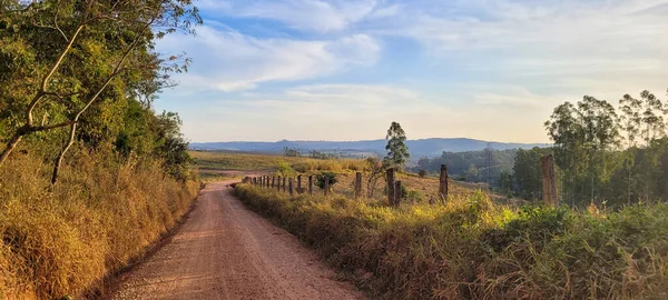 eucalyptus plantation farm in sunny day in the countryside of brazil, on a dirt road with its mountains and green vegetation around