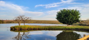 Brezilya 'nın kırsal kesimlerinde ağaçlar ve çimlerle çevrili doğal bir çiftlik manzarası olan göl.