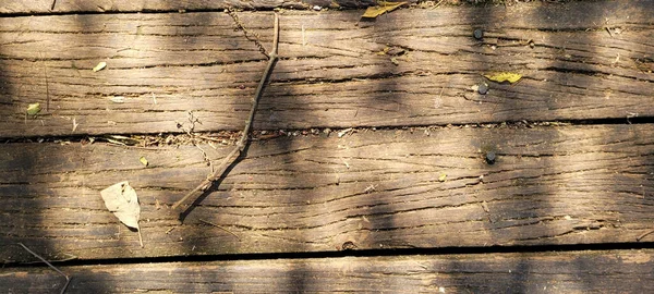 Soyut Panelde Koyu Damarları Olan Rustik Ahşap Arkaplanı Aydınlat — Stok fotoğraf