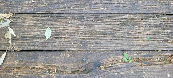 Llight Rustic Wood Background Dark Veins Abstract Panel — 스톡 사진
