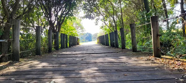 Wooden Bridge Middle Nature Park Interior Brazil —  Fotos de Stock