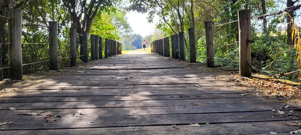 Wooden Bridge Middle Nature Park Interior Brazil — Zdjęcie stockowe