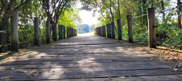 Wooden Bridge Middle Nature Park Interior Brazil — Zdjęcie stockowe