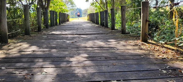 Wooden Bridge Middle Nature Park Interior Brazil —  Fotos de Stock