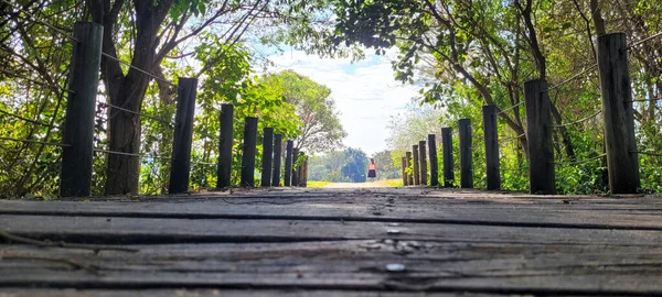 Wooden Bridge Middle Nature Park Interior Brazil — Zdjęcie stockowe