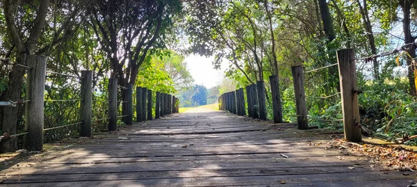 Wooden Bridge Middle Nature Park Interior Brazil —  Fotos de Stock