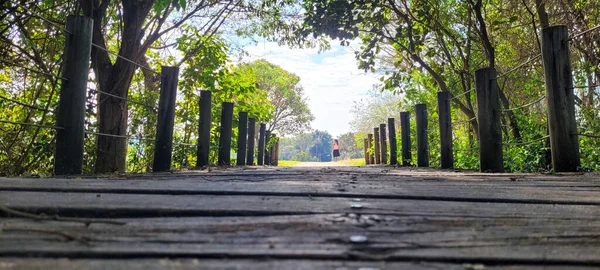 Wooden Bridge Middle Nature Park Interior Brazil — Foto Stock