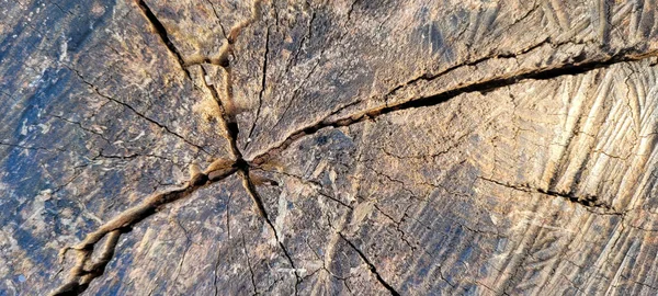 Rustic Log Veins Marks Can Used Natural Background — Zdjęcie stockowe