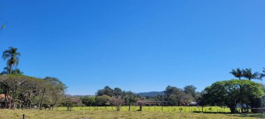 farm landscape on a sunny day with green pasture in the countryside of Brazil
