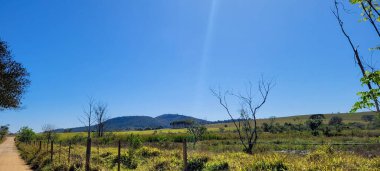 farm landscape on a sunny day with green pasture in the countryside of Brazil