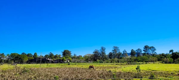 Farm Landscape Sunny Day Green Pasture Countryside Brazil — Stockfoto