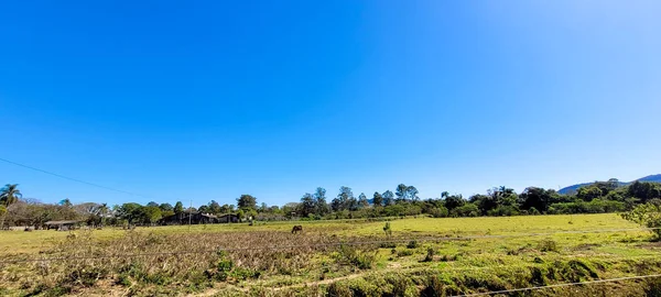 Farm Landscape Sunny Day Green Pasture Countryside Brazil — Stockfoto