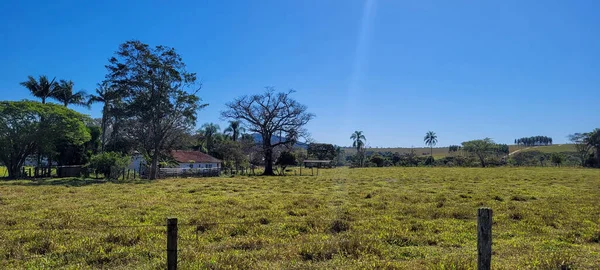 Farm Landscape Sunny Day Green Pasture Countryside Brazil — Stockfoto