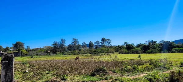 Farm Landscape Sunny Day Green Pasture Countryside Brazil — Stockfoto