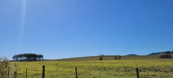 Farm Landscape Sunny Day Green Pasture Countryside Brazil — Stok fotoğraf